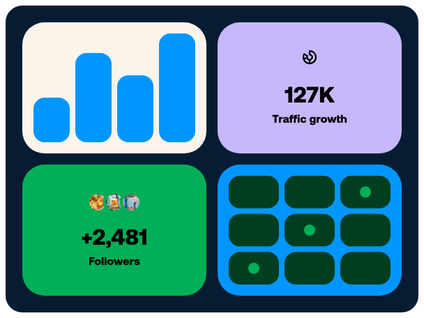 Bio clicks and traffic growth analytics preview